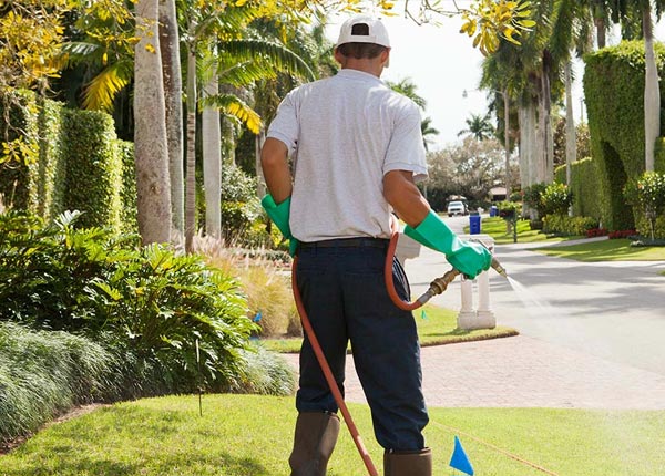 About Pomerene AZ Pest Control